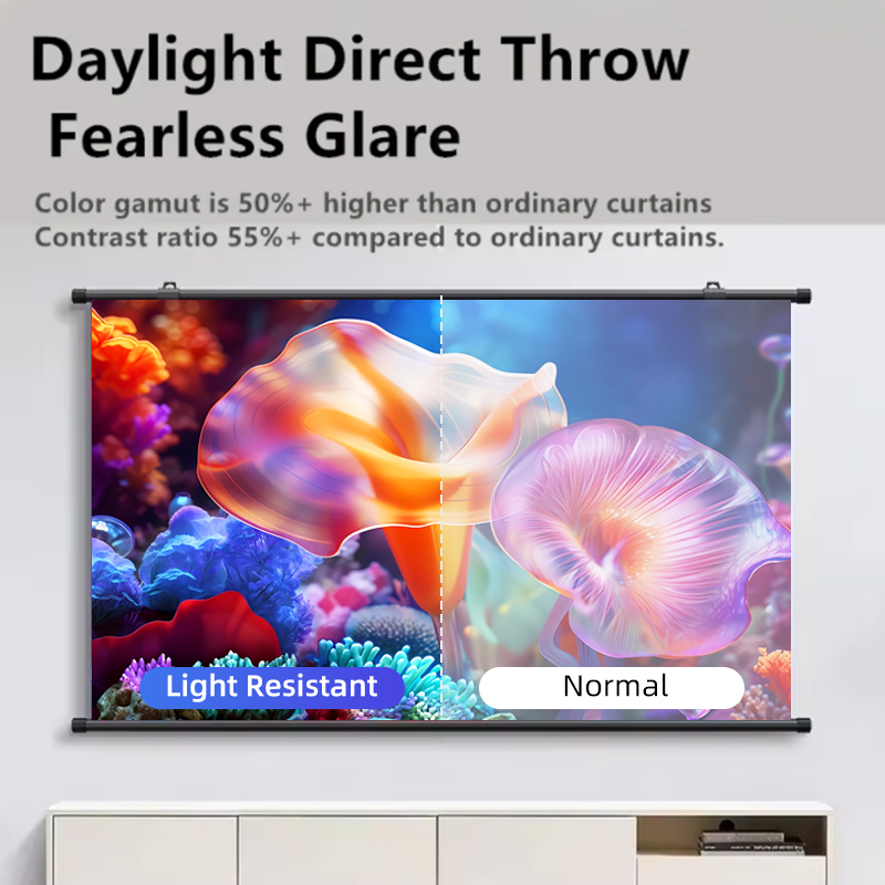 Slide Film 120 - Projector Screen Wall Mounted Grey Anti-Light